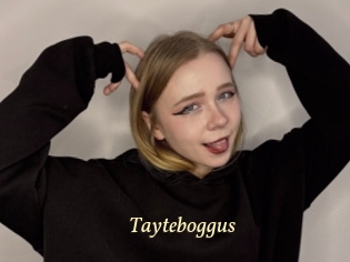 Tayteboggus