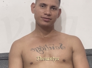 Thesantyx