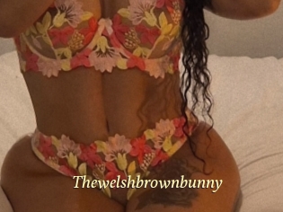 thewelshbrownbunny Vidéo porno gratuite