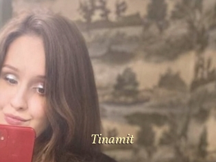 Tinamit