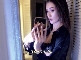 Tiny_taylor
