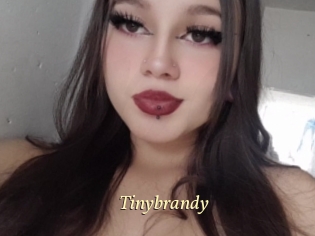 Tinybrandy