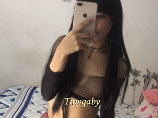 Tinygaby