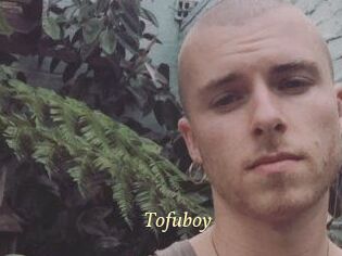 Tofu_boy