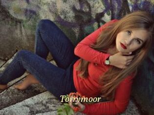 Torrymoor