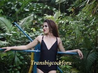 Transbigcockforu