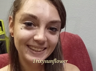 Trixysunflower