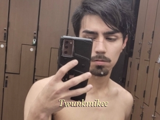 Twunkmikee