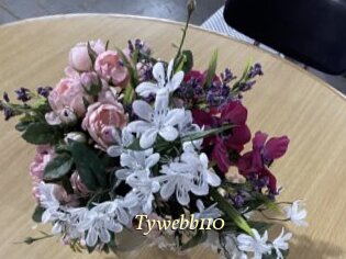 tywebb110 Vidéo porno gratuite