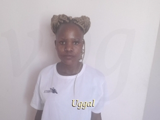 Uggal