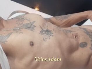 VeinsAdam