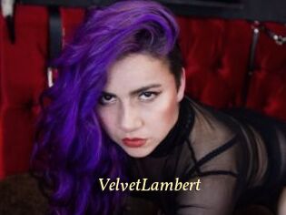 VelvetLambert