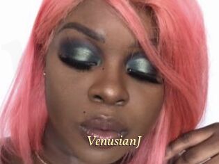 VenusianJ