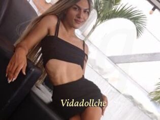 Vidadollche