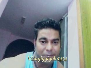 Vizagiggigolo1434