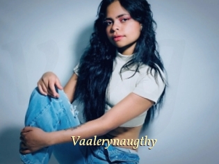 Vaalerynaugthy