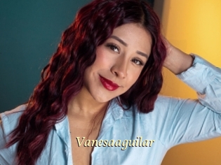 Vanesaaguilar