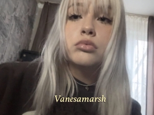 Vanesamarsh