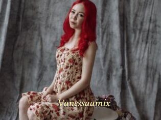 Vanessaamix