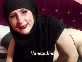 Vanezadina