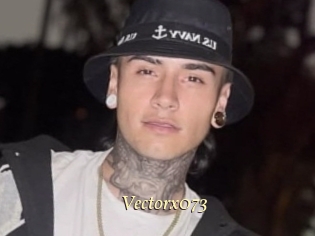 Vectorx073