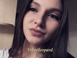 Velvetleopard