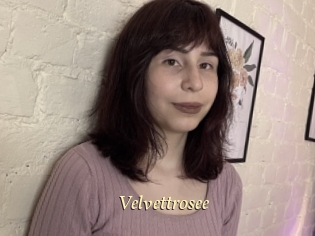 Velvettrosee