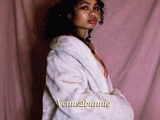Venus2bunnie