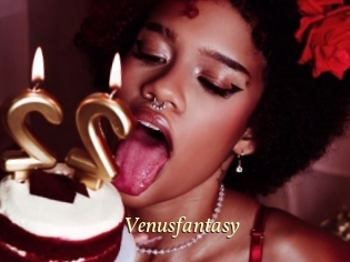 Venusfantasy