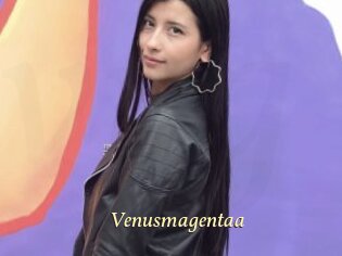Venusmagentaa