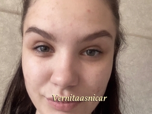 Vernitaasnicar