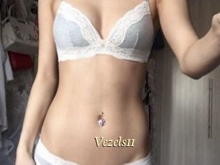 Vezels11