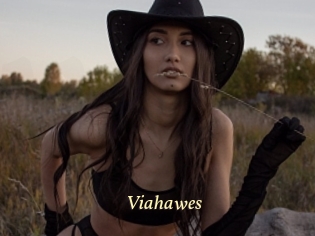 Viahawes