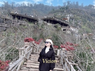 Vicion