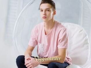 Viggomister