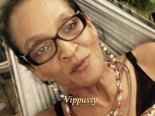 Vippussy