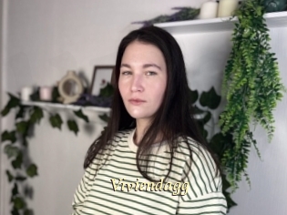 Viviendagg
