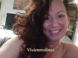 Vivienmolinas