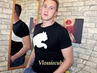 Vlossiecub