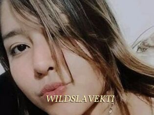 WILDSLAVEKTI