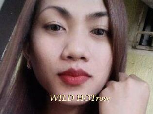 WILD_HOTrose