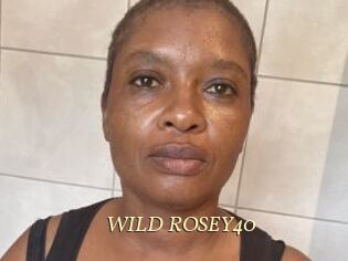 WILD_ROSEY40