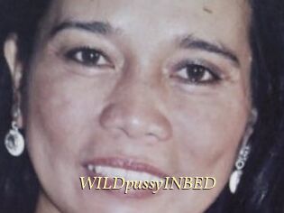 WILDpussyINBED