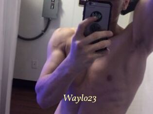 Waylo23