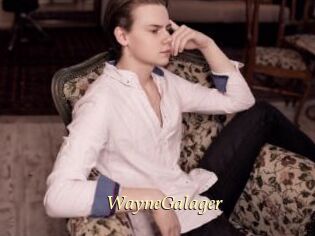 WayneGalager
