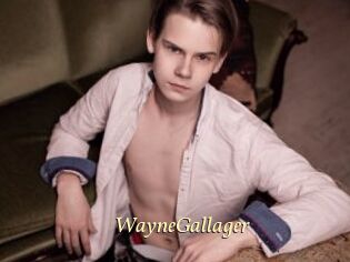 WayneGallager