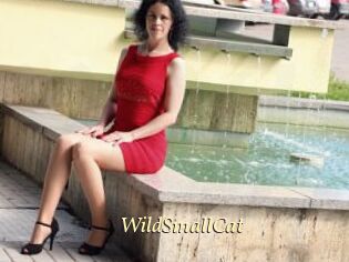 WildSmallCat