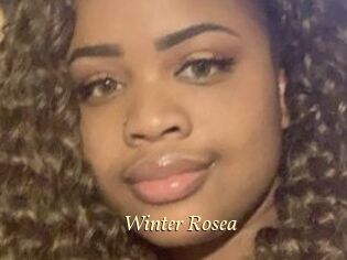 Winter_Rosea