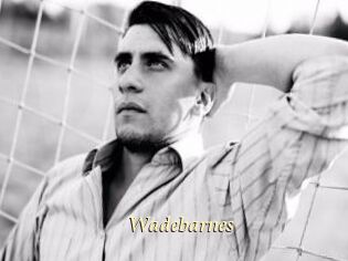 Wadebarnes