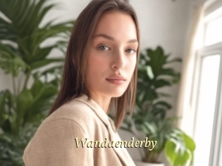 Wandaenderby